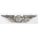 RD4731.)WWII CIVILIAN AERONAUTICS AUTHORITY SILVER WING