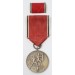 G248.)CASED 1938 AUSTRIAN OCCUPATION CAMPAIGN MEDAL